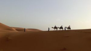 camel treeking in desert tour Merzouga
