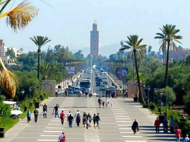 tourism sector in Morocco,Marrackech Vitality