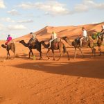 Ouarzazate - travelling along the desert