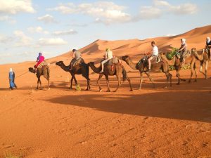 Ouarzazate - travelling along the desert