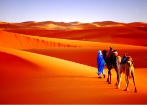 Visit Sahara desert zagora. private tour ouarzazate zagora desert