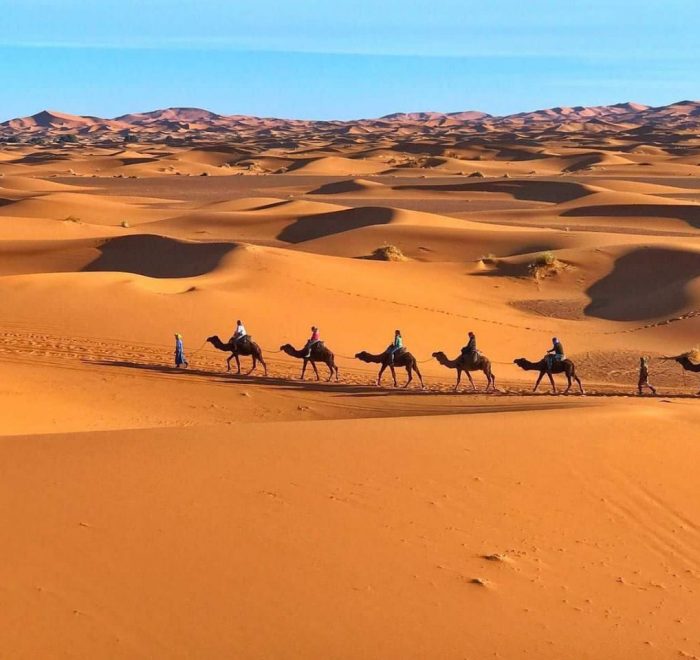 camel trekking in Merzouga desert